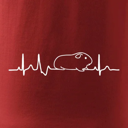 EKG morča