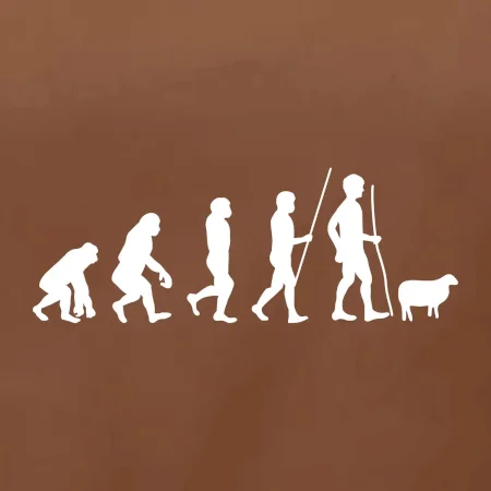 Evolúcia pastier oviec