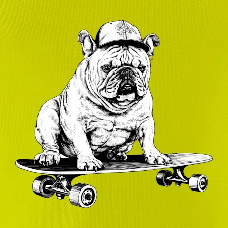 Čiernobiely buldog na skateboarde