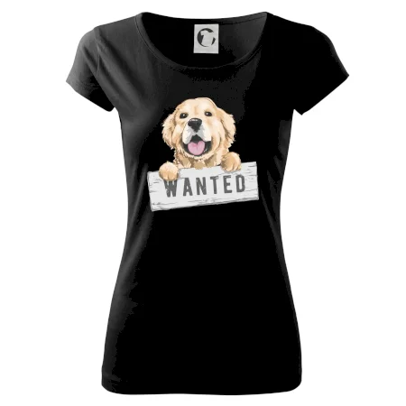 Zlatý retriever - šteniatko wanted