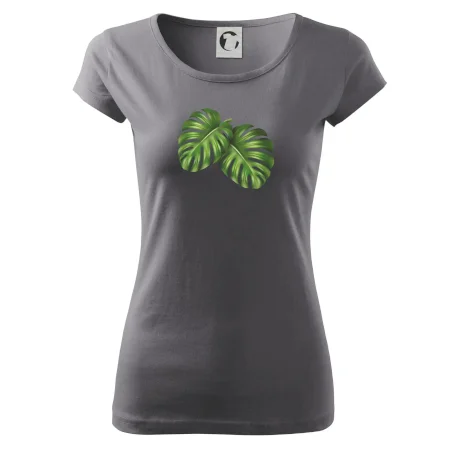Monstera - dva listy