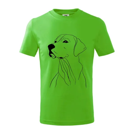 Labrador čierna kresba