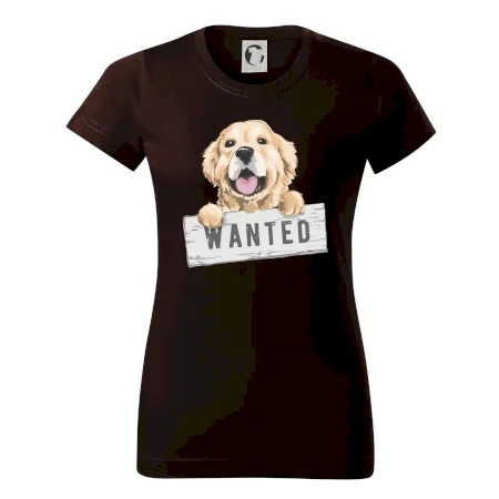 Zlatý retriever - šteniatko wanted