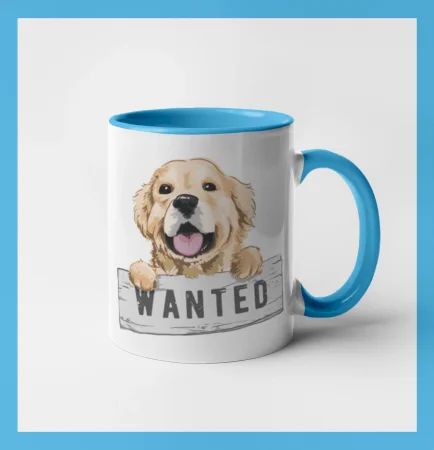 Zlatý retriever - šteniatko wanted