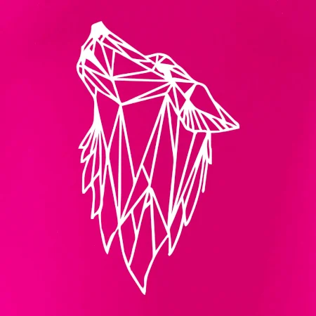 Geometria - vlk - vyjúci