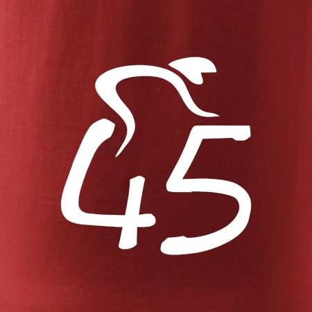 Cyklista oslavuje štyridsaťpäťku (45)
