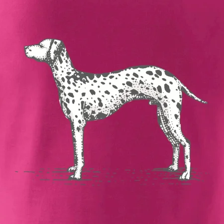 Vintage Dalmatin
