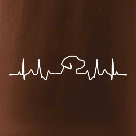Labradorský retriever‎ EKG