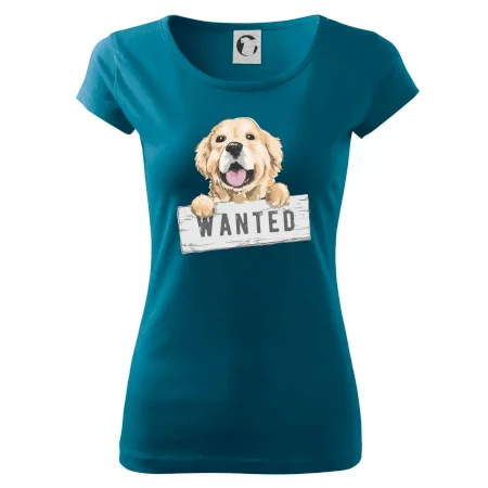 Zlatý retriever - šteniatko wanted