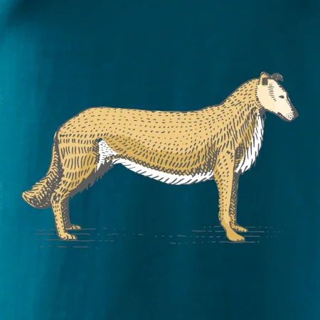 Vintage Collie