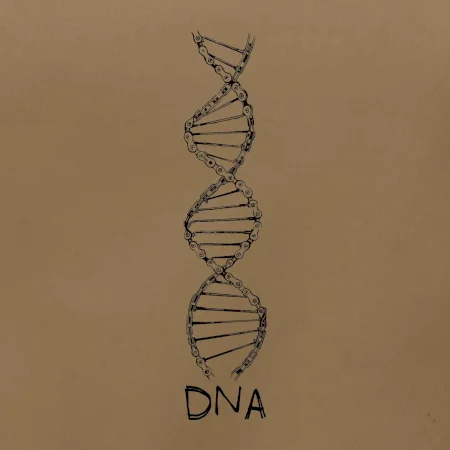 Cyklistovo DNA