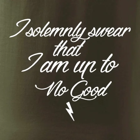 I solemnly swear that I'm up to no good