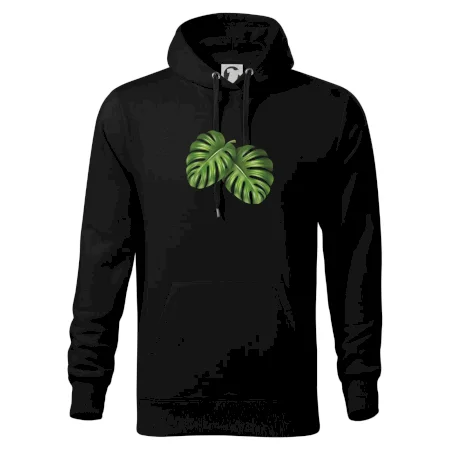Monstera - dva listy