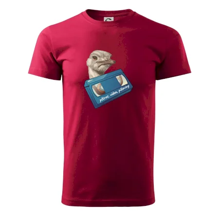 Pštrosi vídea