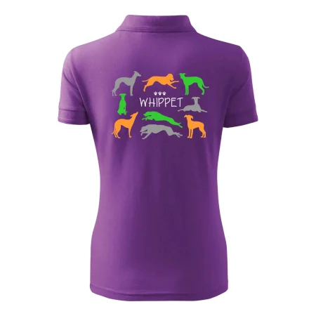 Whippet farebný
