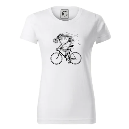 Cyklo kostra
