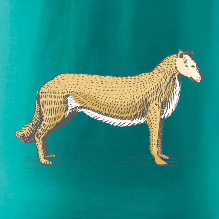 Vintage Collie