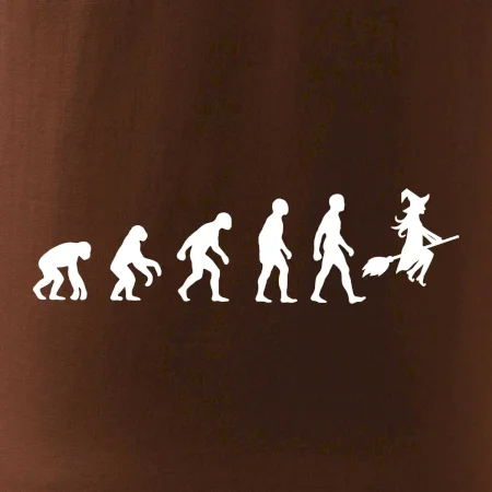 Evolúcia čarodejnice