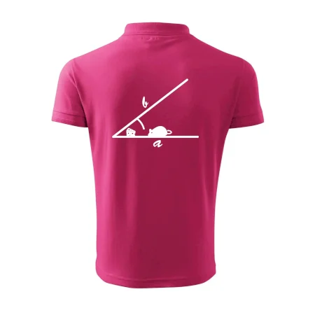 Matematická myš