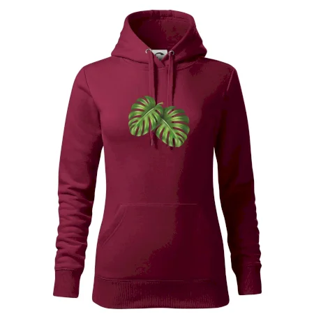Monstera - dva listy