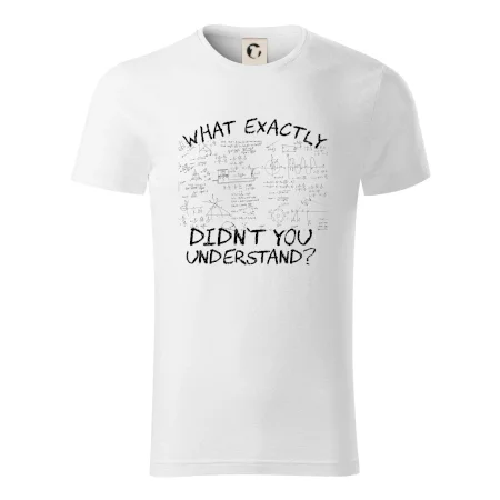 What exactly didn't you understand - physics