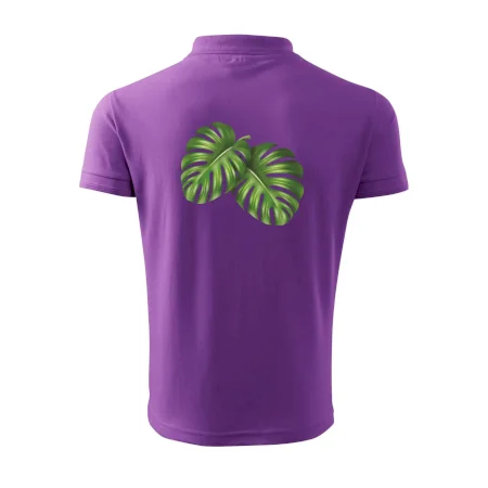 Monstera - dva listy