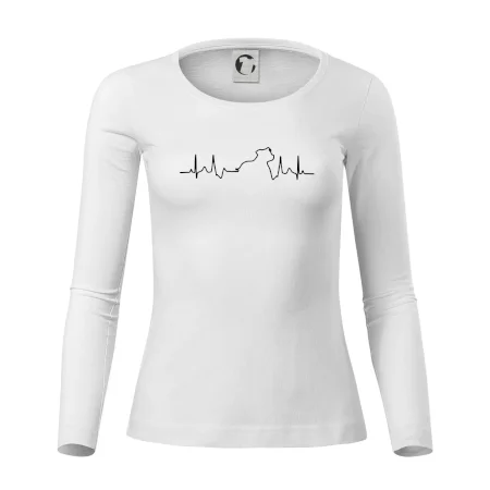 Stafordšírsky bulteriér ‎ EKG