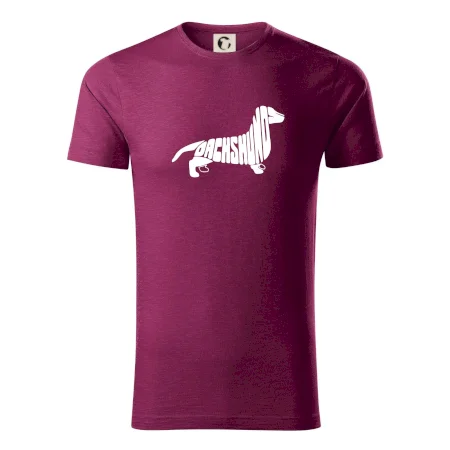 Jazvečík - Dachshund
