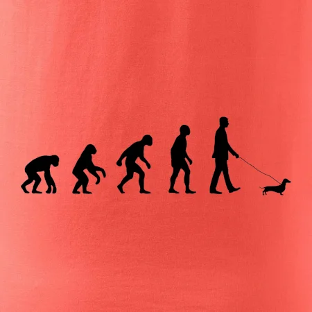 Jazvečík Evolúcia muž