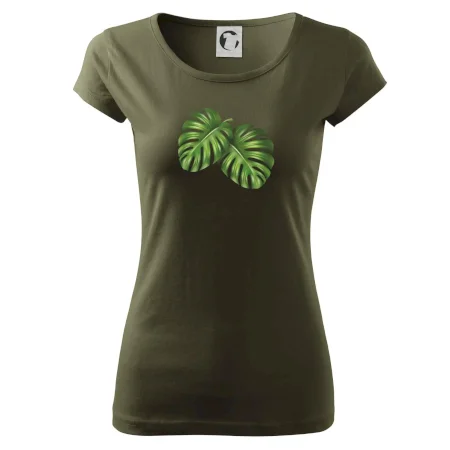 Monstera - dva listy