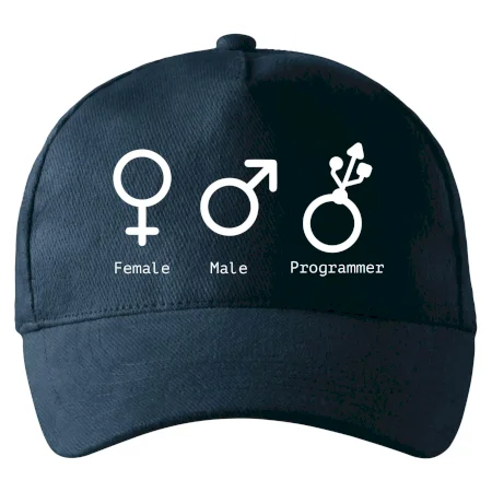 Female male programmer