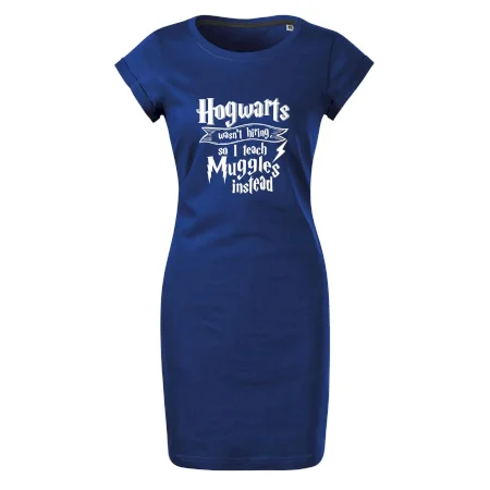 Harry - Hogwarts wasn’t hiring, so I teach Muggles instead