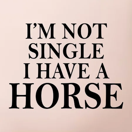 I have a horse