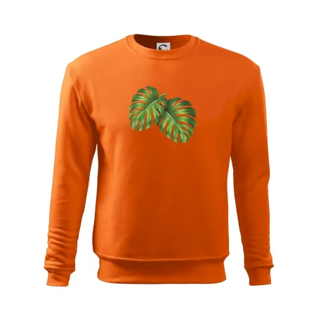Monstera - dva listy