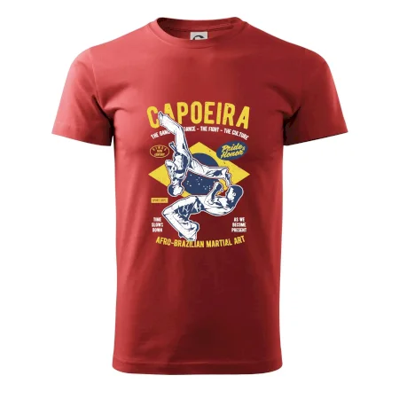 Capoeira  Afro-brazil art