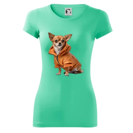 Čivava v bunde