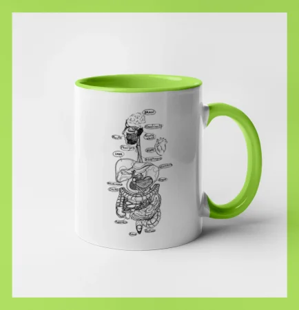 Skica ľudských orgánov