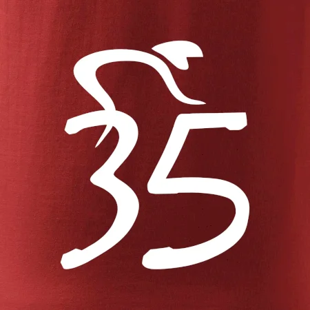 Cyklista oslavuje tridsaťpäťku (35)