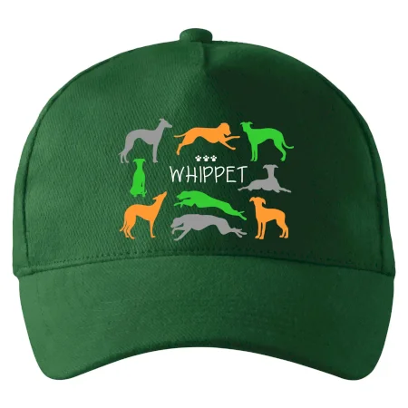 Whippet farebný