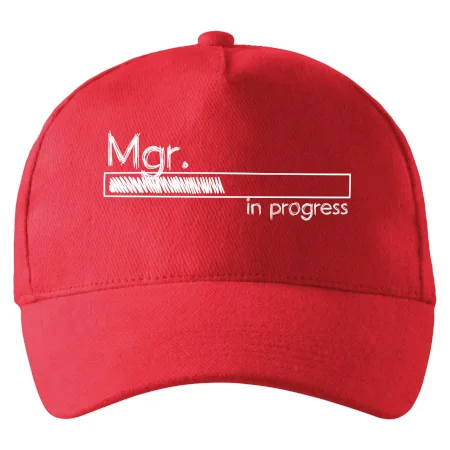 In progress titul Mgr. magister / magistra