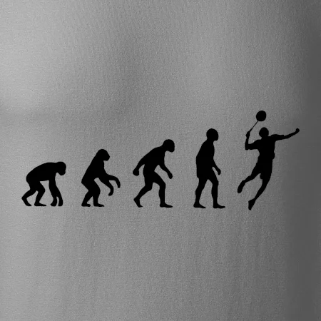 Evolúcia Bedminton