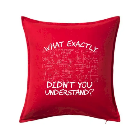 What exactly didn't you understand - physics