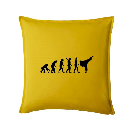 Karate Evolúcia - kop