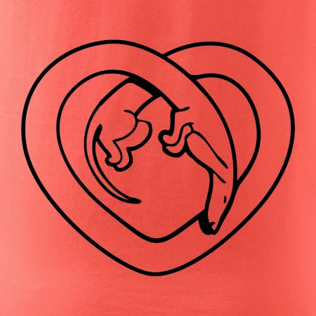 Jazvečík srdca - obrys