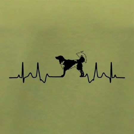 Český strakatý pes EKG
