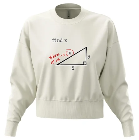 Find X - geometria