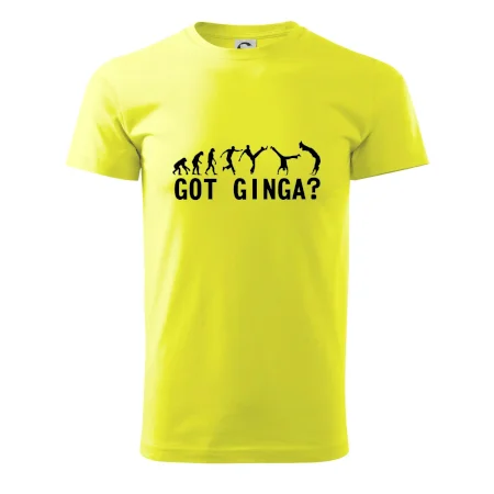 Capoeira - Got Ginga