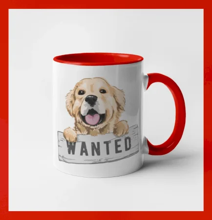 Zlatý retriever - šteniatko wanted