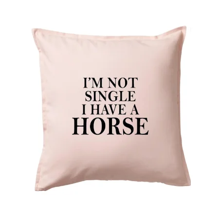 I have a horse