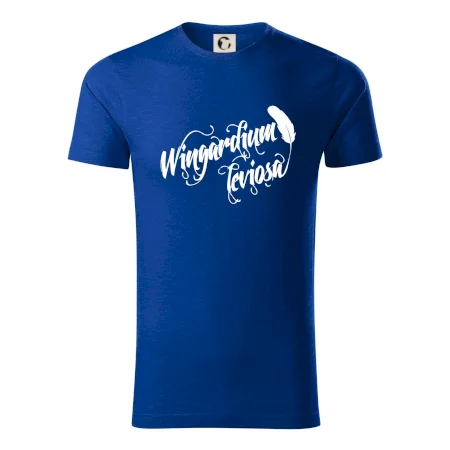 Harry - Wingardium Leviosa